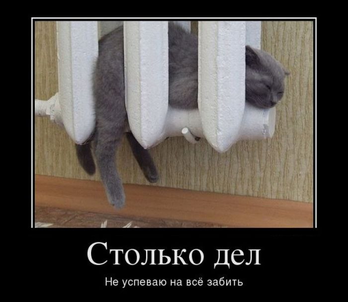 Алексей Карпов | Хабаровск