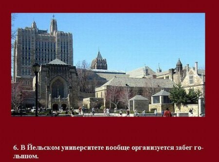 №84, Виталий Коваль, 35 лет, Харьков №84, Виталий Коваль, 35 лет, Харьков