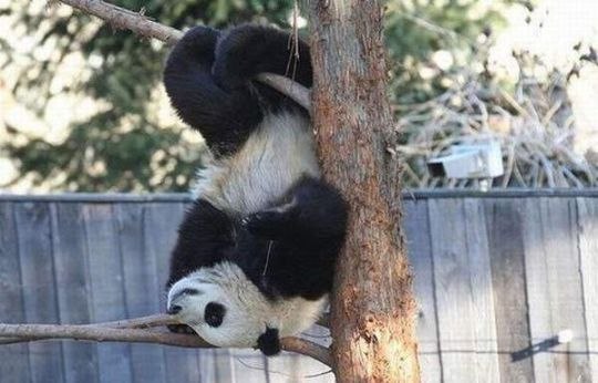 Миша Сергеев | Жуковский