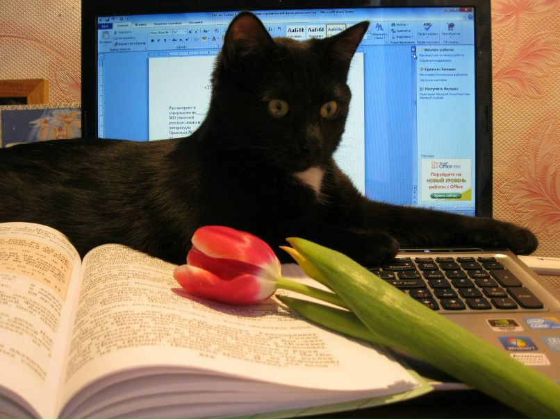 Евгения Ишпахтина | Ульяновск