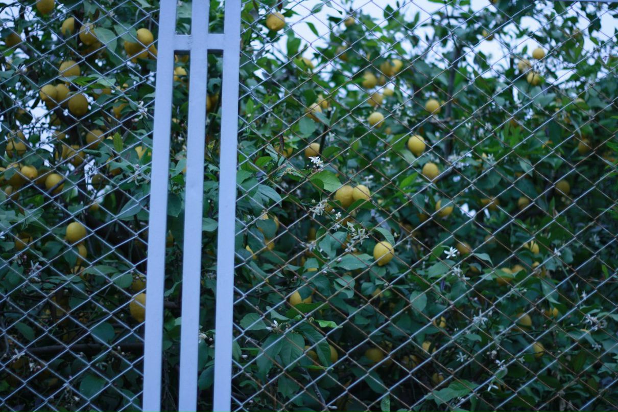 Elvira Fayzullina | Бавлы