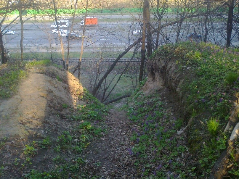 Слава Ройко | Киев