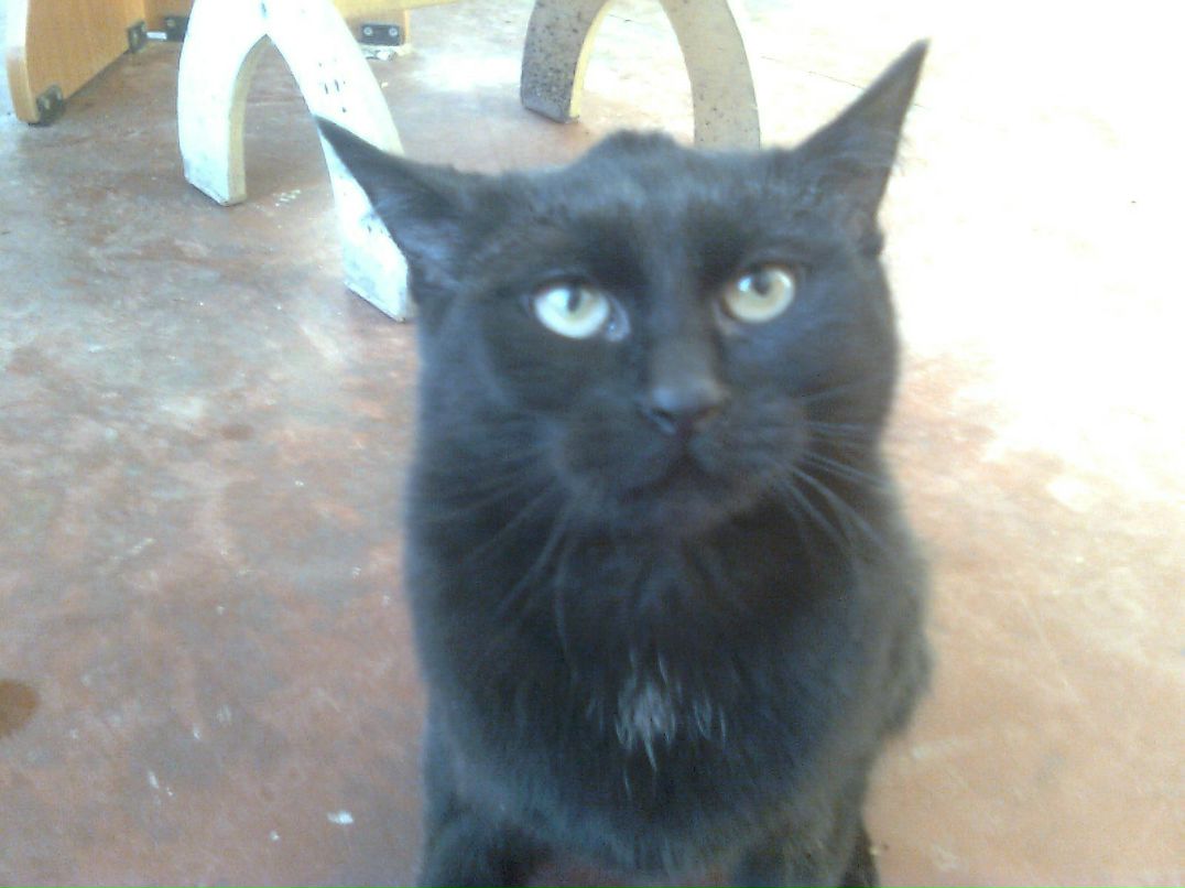 Алексей Трапезников | 