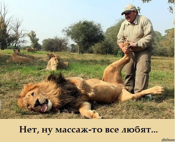 Махмуд Абзалов Punck no Dead! | Казань