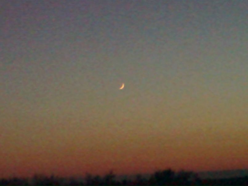 Николай Данилов | Архангельск