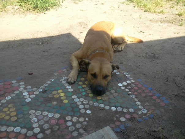 №47, Артур Измайлов, Казань №47, Артур Измайлов, Казань