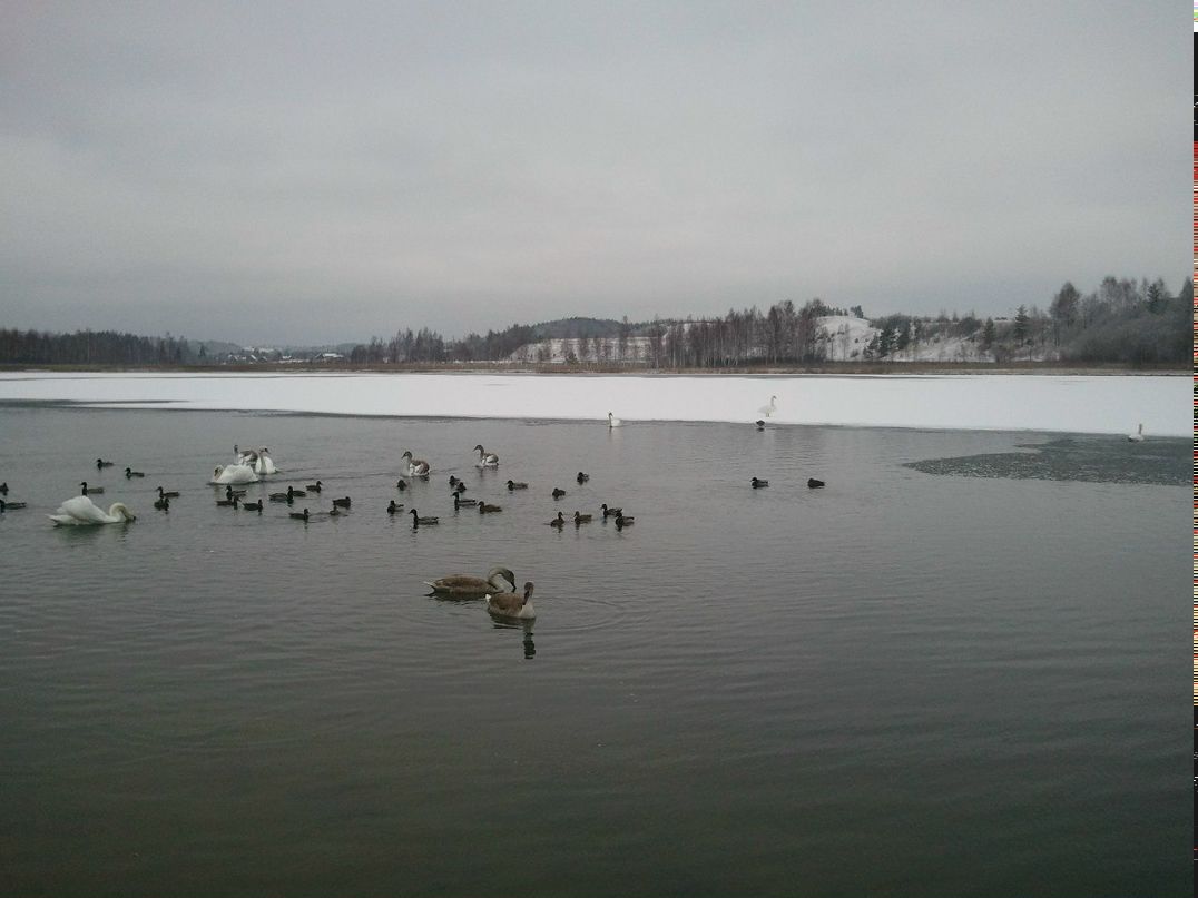 Михаил Лукьянцев | Санкт-Петербург