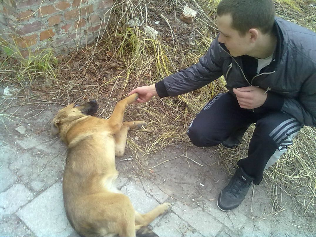 Евгений Викторович | Лыткарино