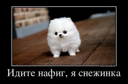 Ольга Антипова | Москва