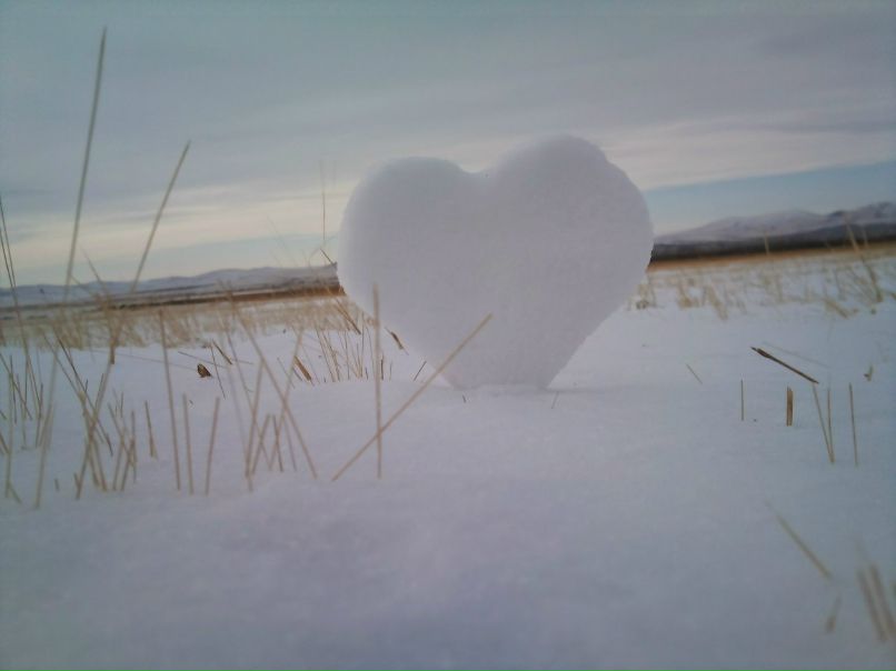 Иван Босниец | 