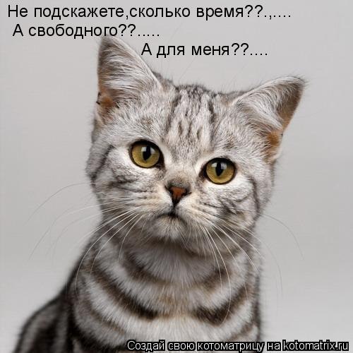 Женек Поляков | Санкт-Петербург