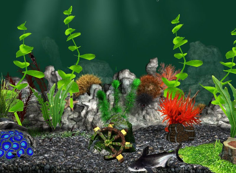 Карина Назарько &^kot^& | Харьков