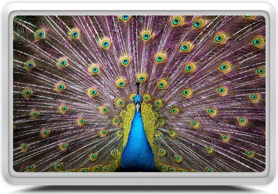 Светлана Соколова | Челябинск