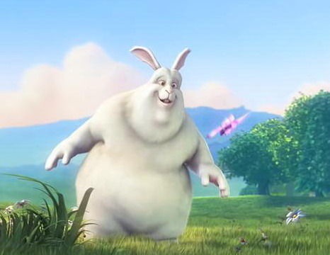 №127, Юлианка Ласточкина №127, Юлианка Ласточкина