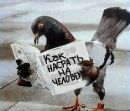 Фотография Ольга Крупица