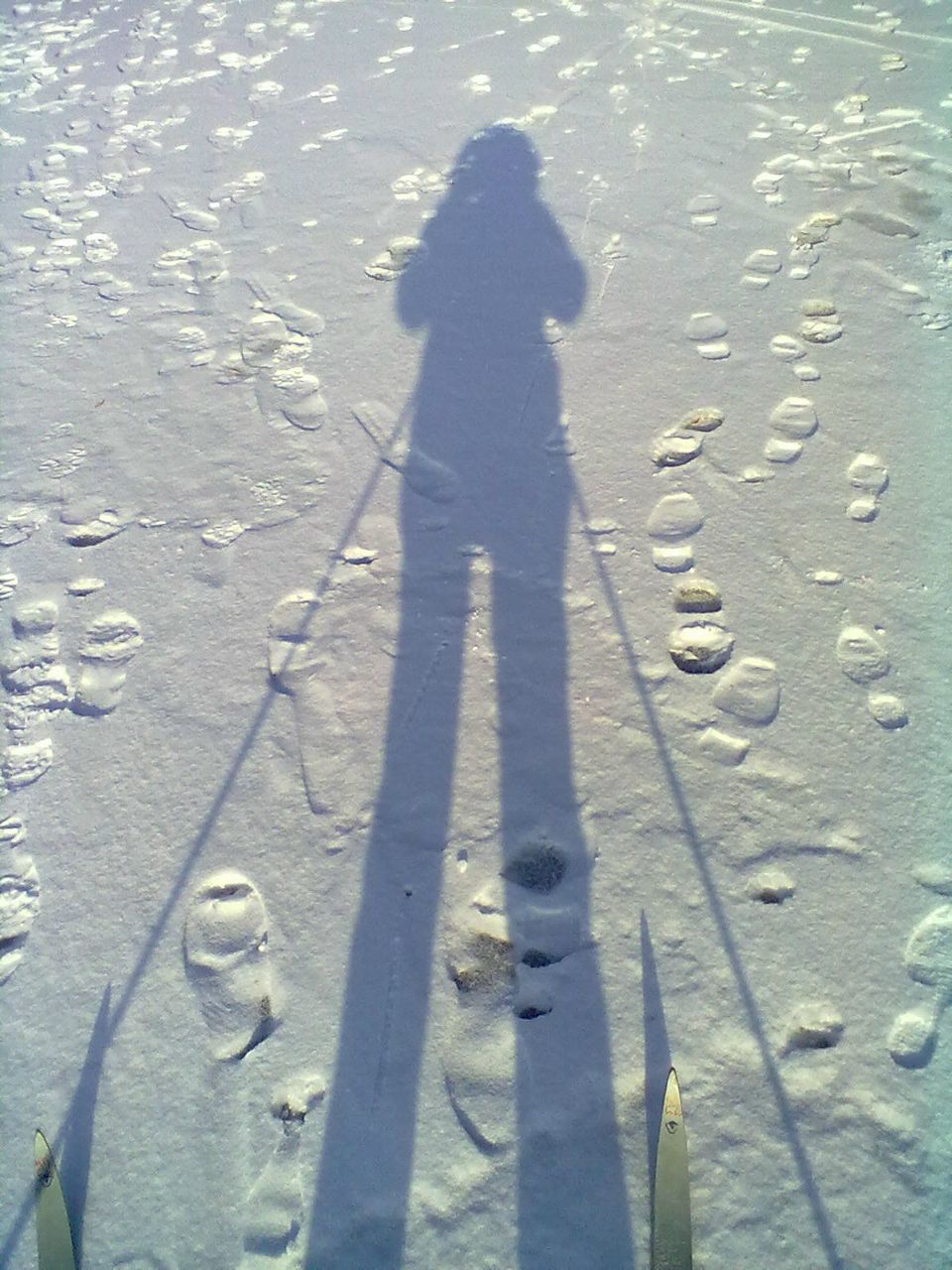 Валерия Кудинова | Харьков