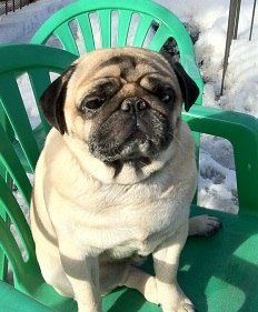 Станислав Чекланов Юрьевич | Домодедово