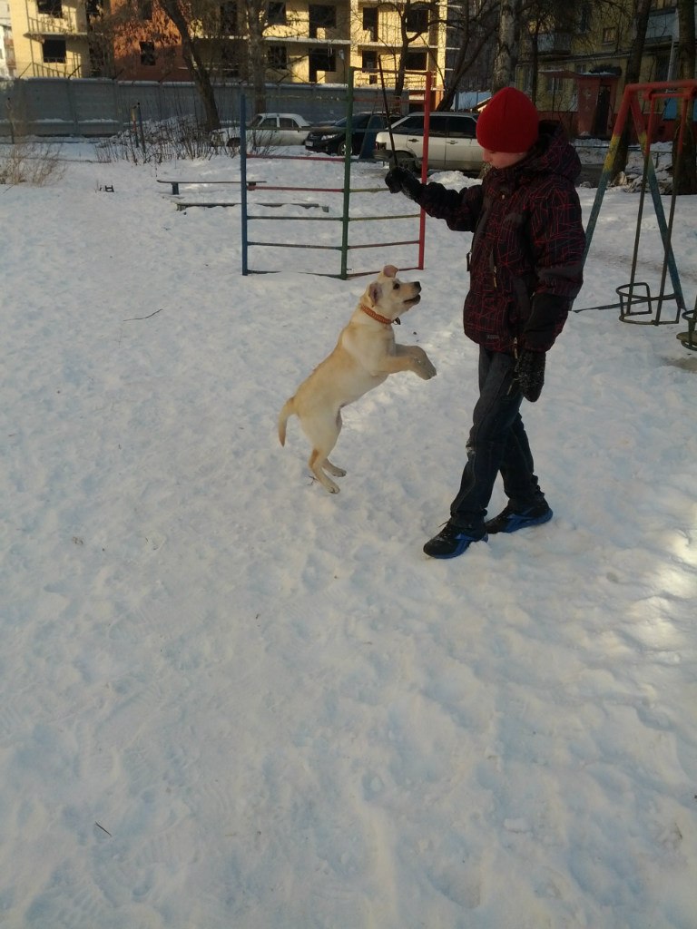 Михаил Пятаков *PiF* | Пермь