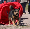 Фотография Титовой Светланы