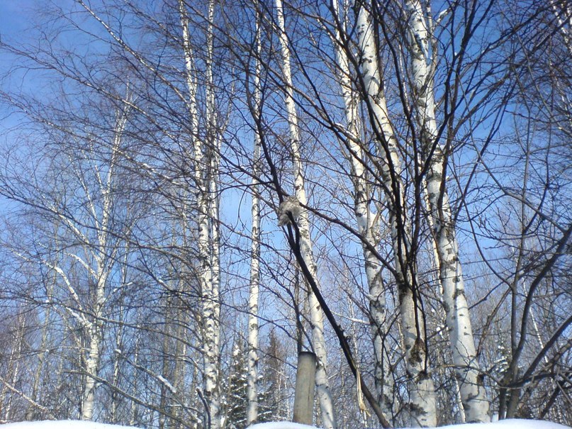 Ринат Шаипов | Челябинск