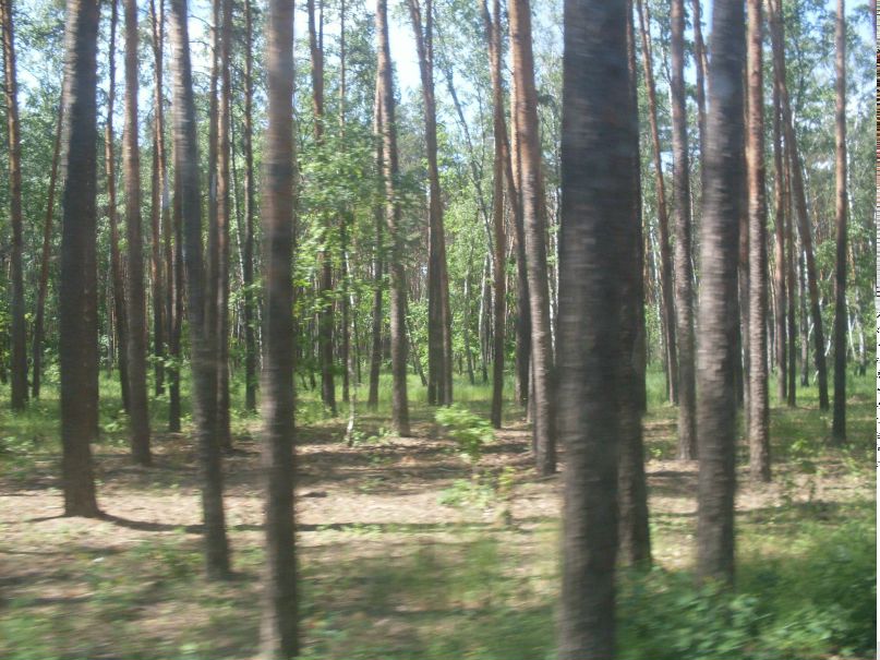 Евгений Хавкин | Белгород