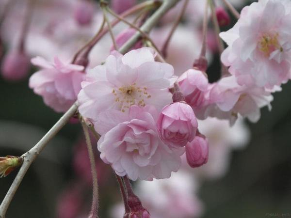 Иринка Списаренко | Киев