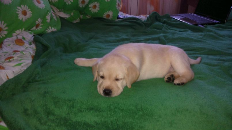 Юлия Язовских | Тихвин