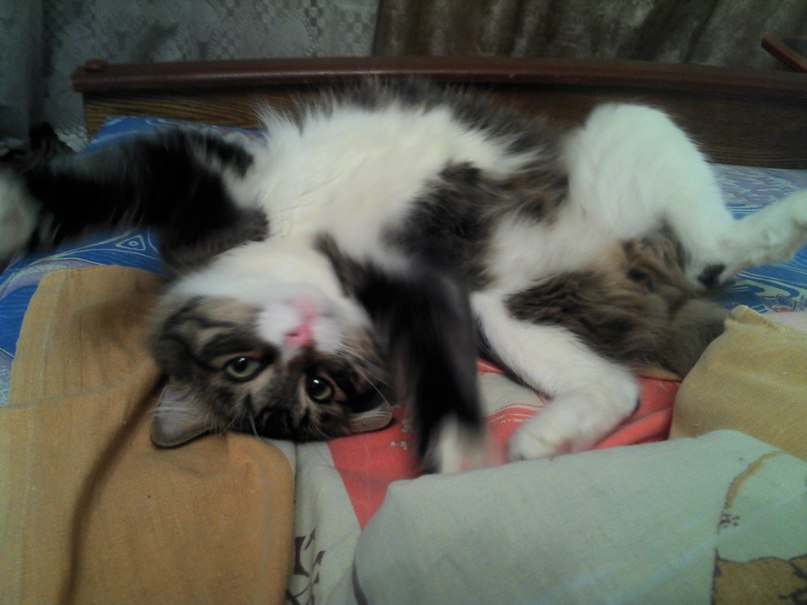 Катя Самуилова | Нижний Новгород