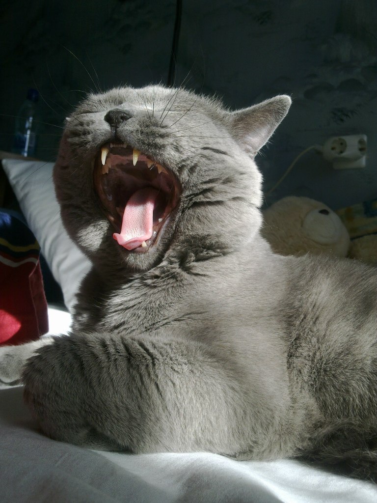 Катюша Букарина | Санкт-Петербург