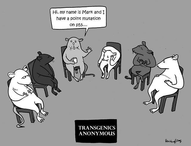 Надя Уракова | Москва