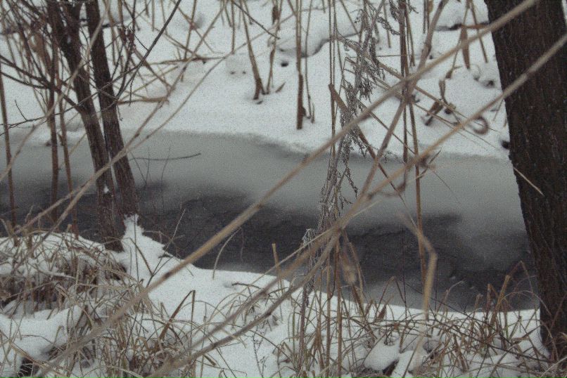 Наталина Удовик | Харьков