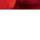 №107, Полина Долгих, 35 лет №107, Полина Долгих, 35 лет