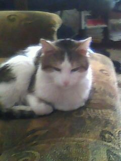 Александр Матюшев | Калининград