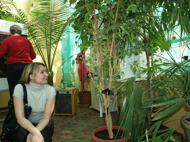 Резеда Сафиуллина | Казань