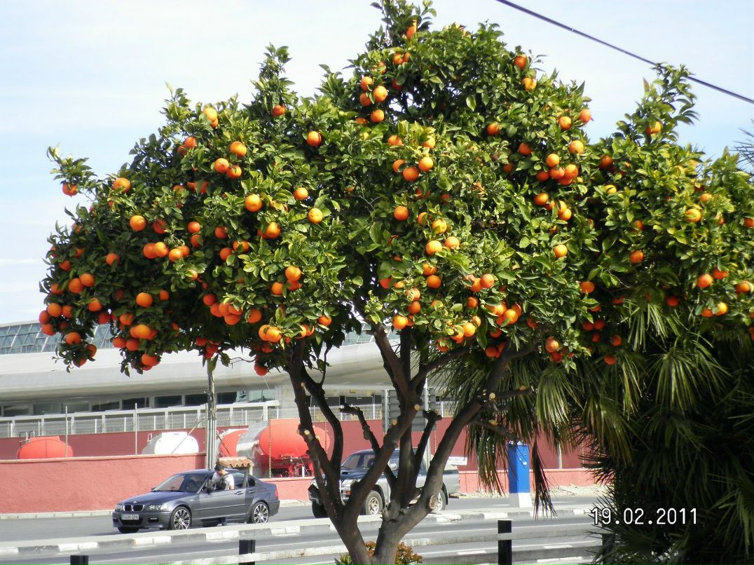 Вадим Довнар ~~ Vadik ~~ | 