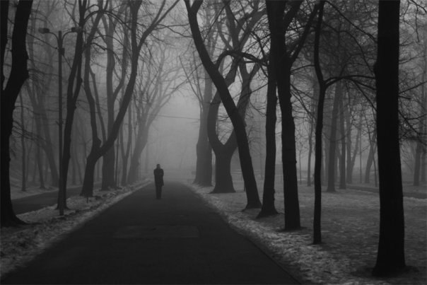 Андрей Андреев 