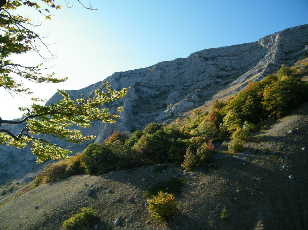 Евгений Шпилевой Александрович | Харьков
