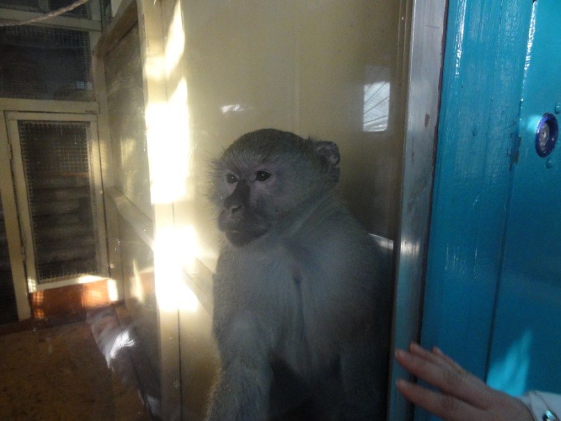 Руслан Зибров | Петропавловск-Камчатский