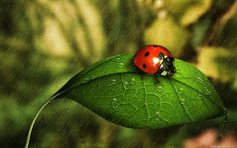 Ангелина Ремезова | Москва