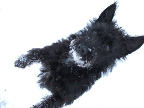 Roman Bilyk | Ciudad Juárez