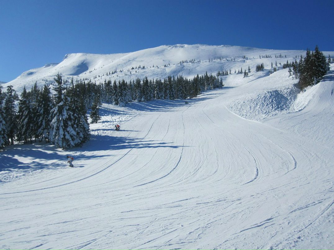 Андрей Молодий | Запорожье