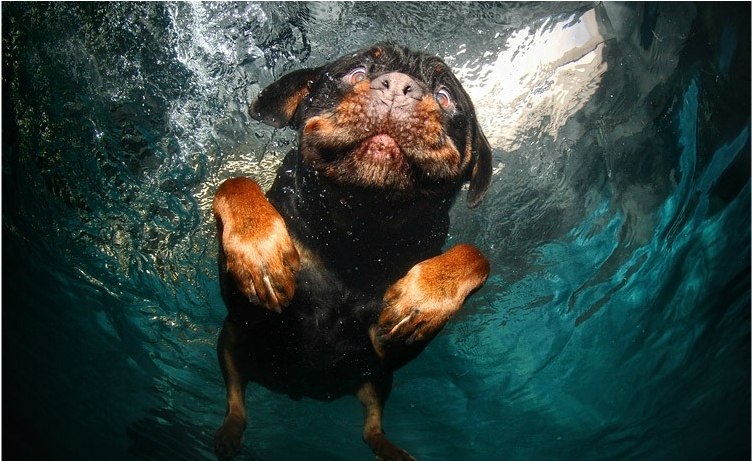 Вера Челнокова | Москва