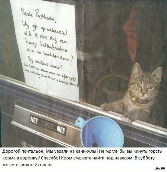 №131, Владимир Житенёв, 23.7.1990, Москва №131, Владимир Житенёв, 23.7.1990, Москва