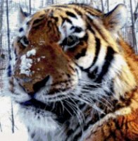 Ildus Nurislamov | Уфа