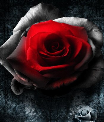 Майя Красіцька *πολεμιστής* | 