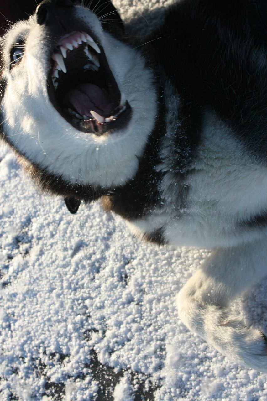 Ирина Голомако | Санкт-Петербург