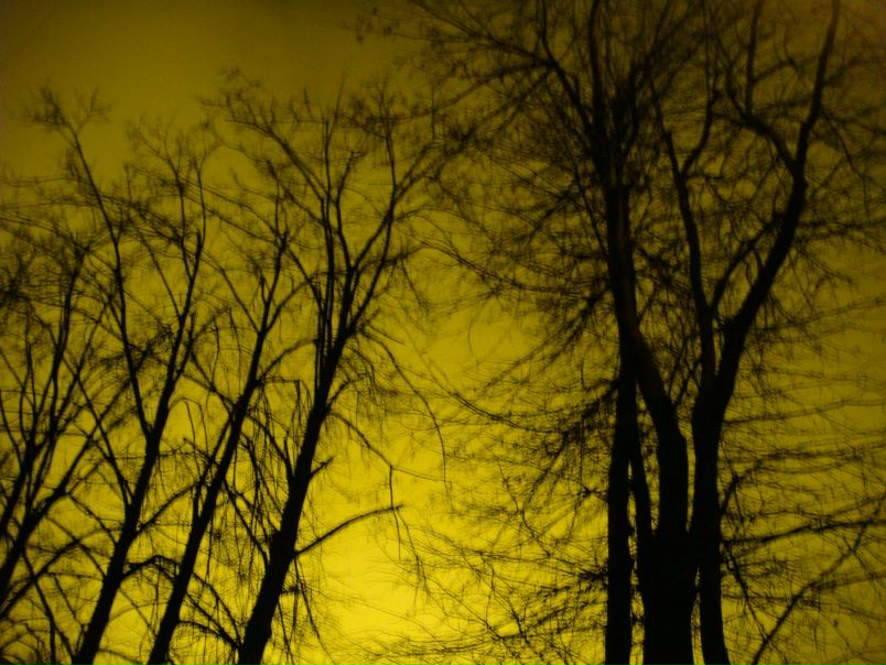 №5, Кристина Карнацевич, Минск №5, Кристина Карнацевич, Минск