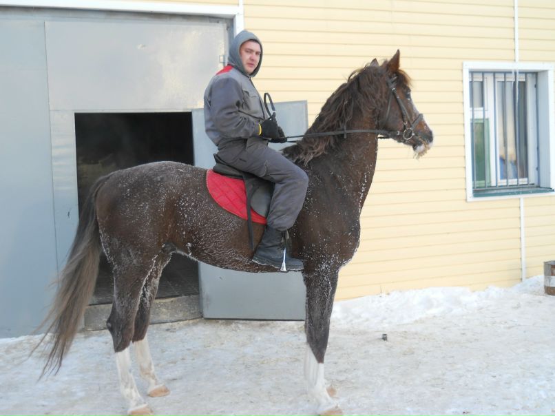 Сергей Андрюшин | Казань