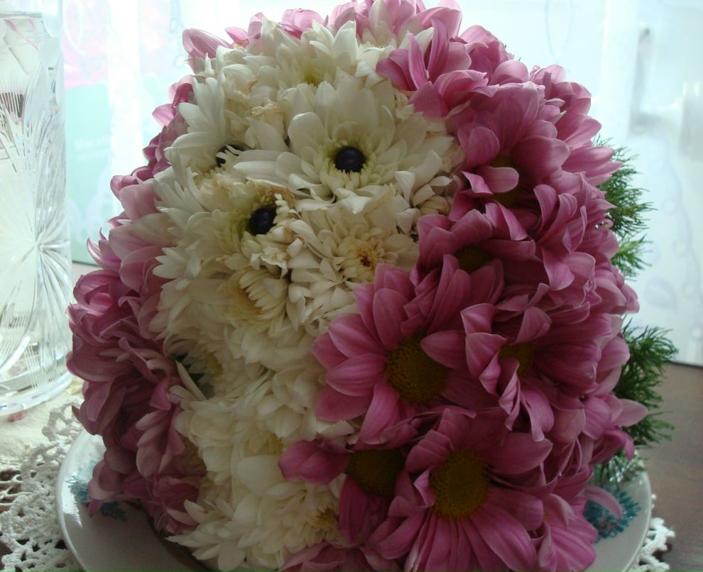 Елена Тюльпанова | Тихвин