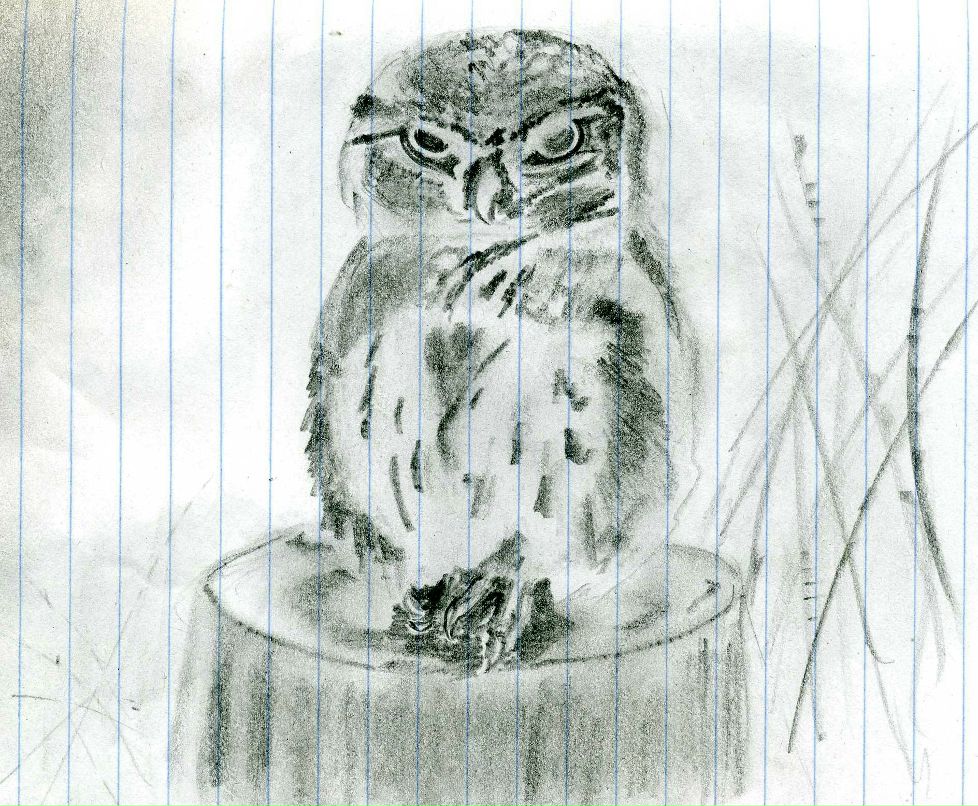 Анжелика Привалова Евгеньевна | Благовещенск